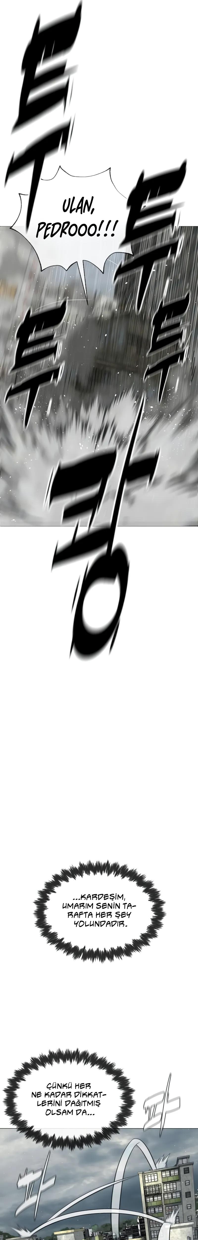 47-cm2xdfr0s0001tt82570od8ls
