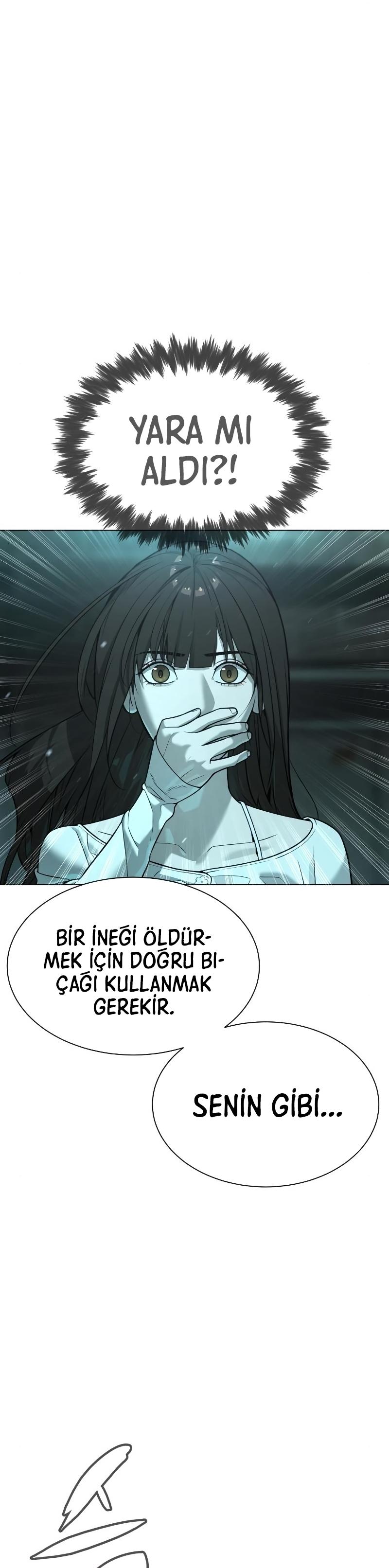 47-cm2xdfr0s0001tt82570od8ls