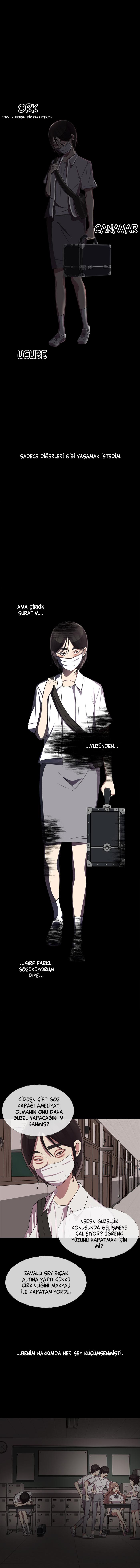 3-cmc1vvo430025phxcd4xhnki2