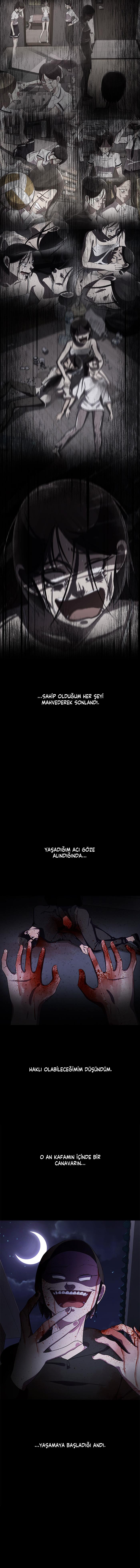 5-cmc1vvo430025phxcd4xhnki2