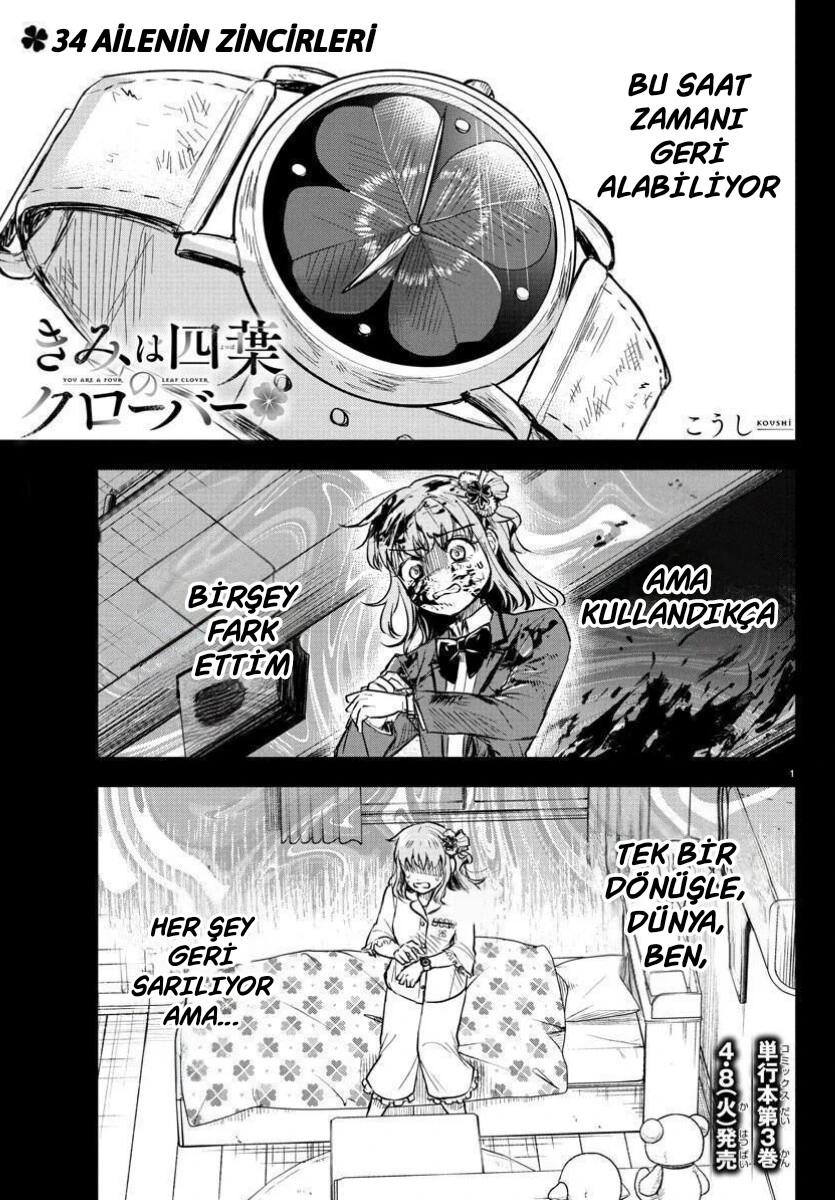 1-cmc1vvo430025phxcd4xhnki2