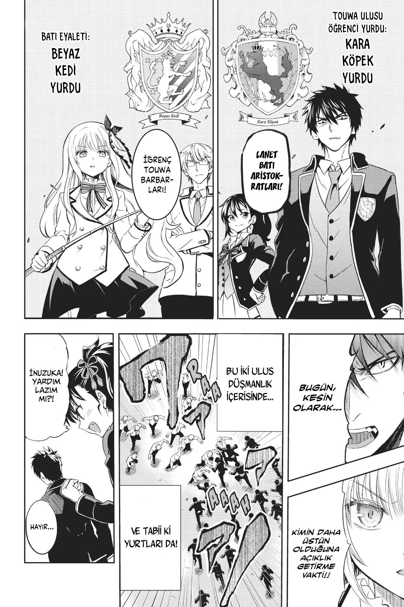 6-cm5ya3xt20000eovjogi0rsko