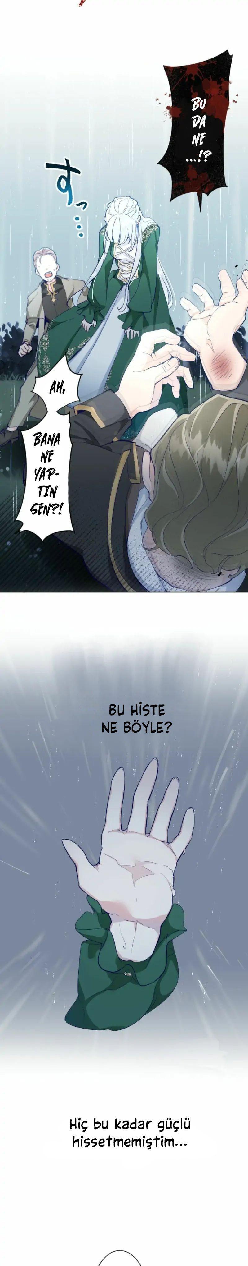 20-cmnq2268807i4ucwa0pciz3a1