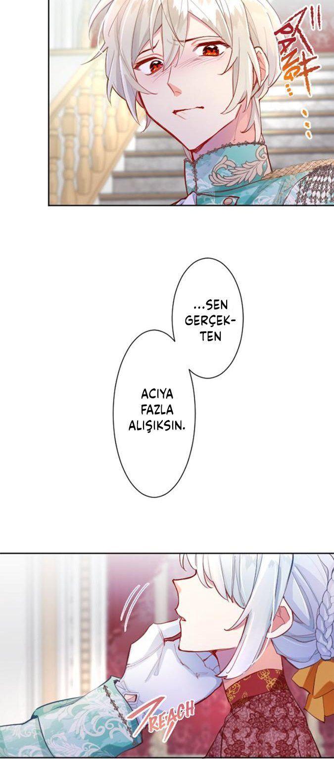 43-cmnq2268807i4ucwa0pciz3a1