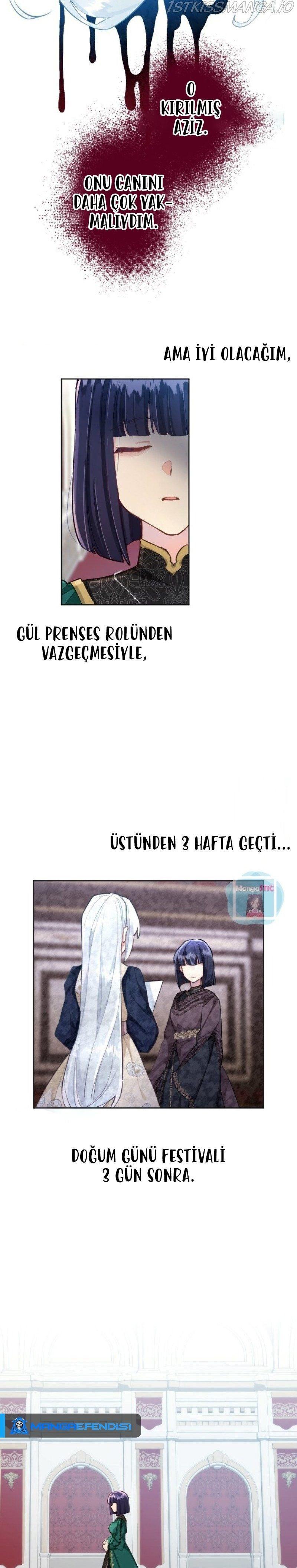 6-cmnq2268807i4ucwa0pciz3a1