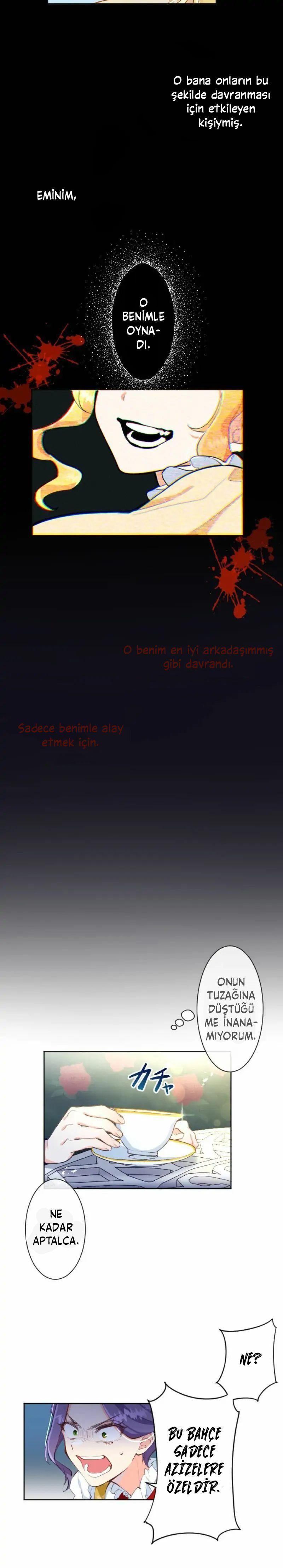 9-cmnq2268807i4ucwa0pciz3a1