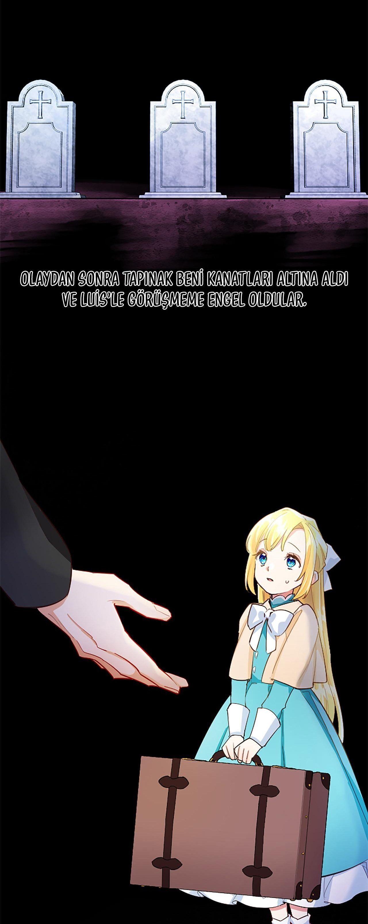 41-cmnq2268807i4ucwa0pciz3a1