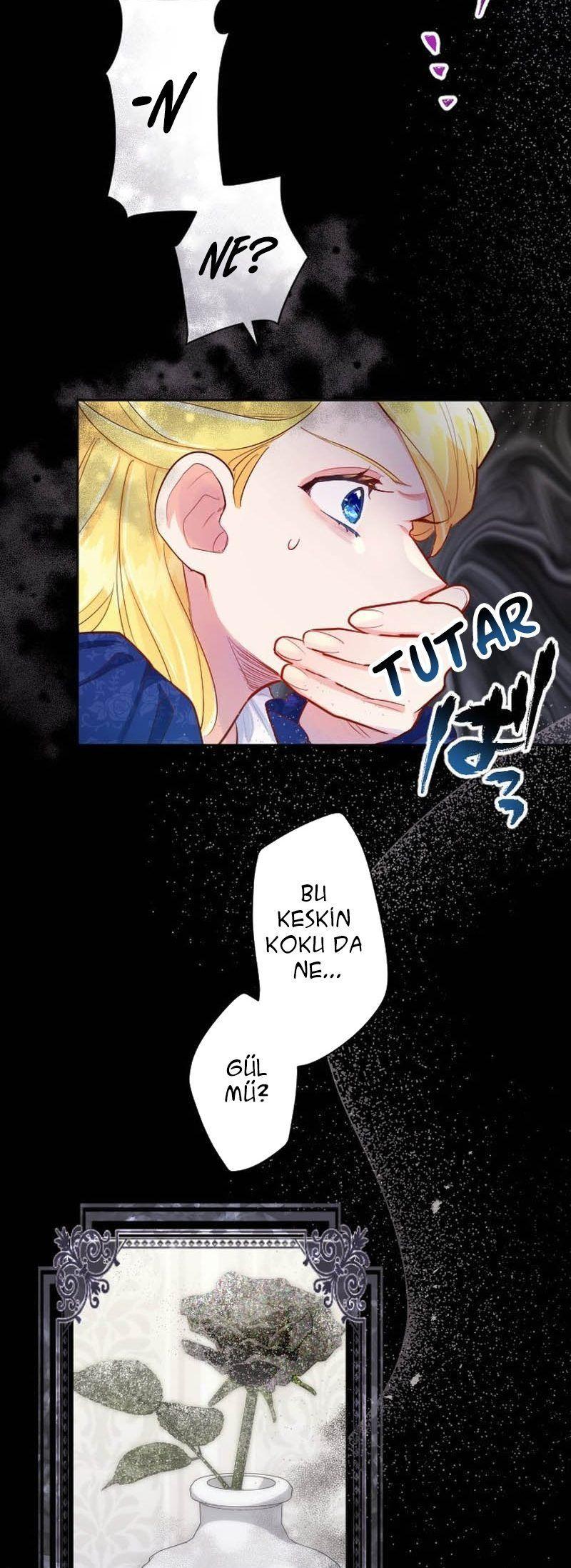 29-cmnq2268807i4ucwa0pciz3a1