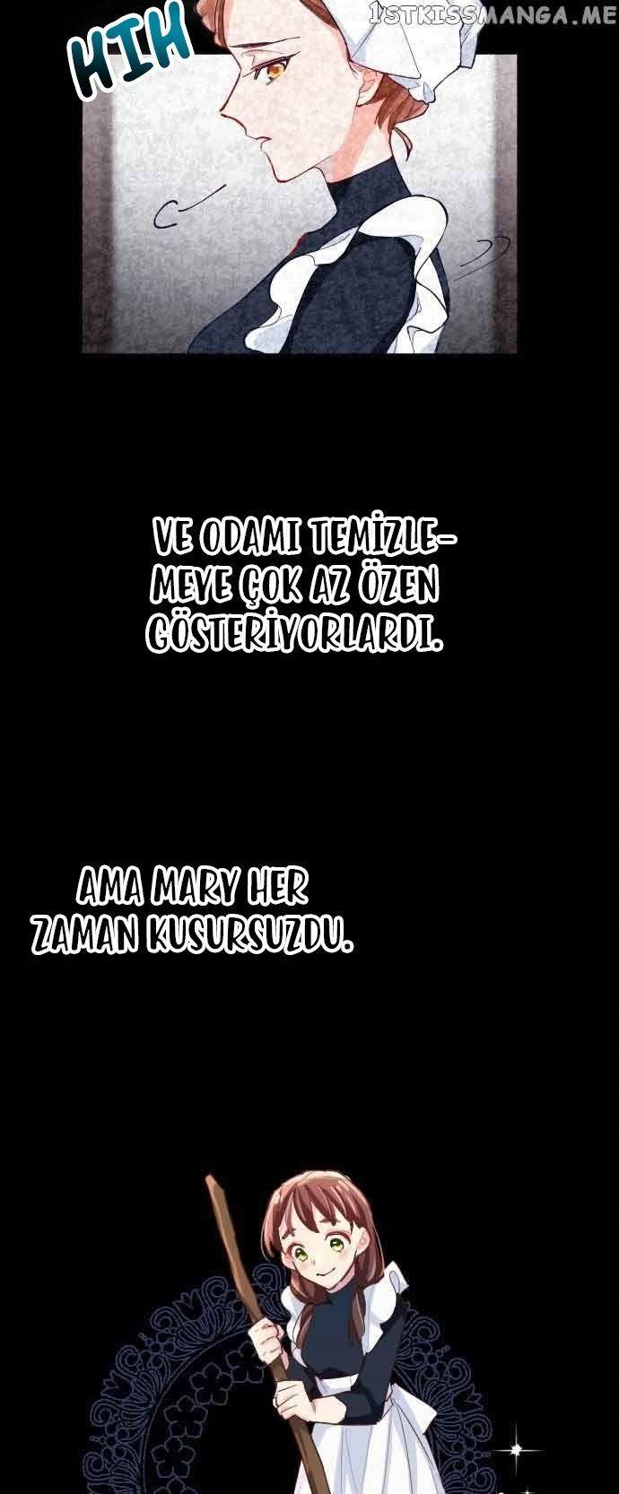 19-cmnq2268807i4ucwa0pciz3a1