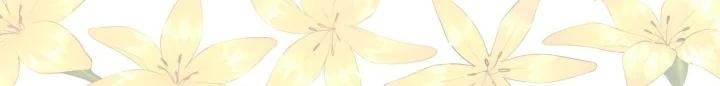 21-cm2xdfr0s0001tt82570od8ls