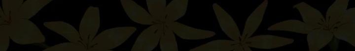 22-cm2xdfr0s0001tt82570od8ls