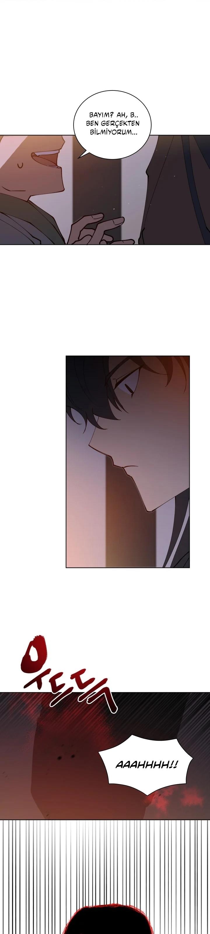 11-cm2xdfr0s0001tt82570od8ls