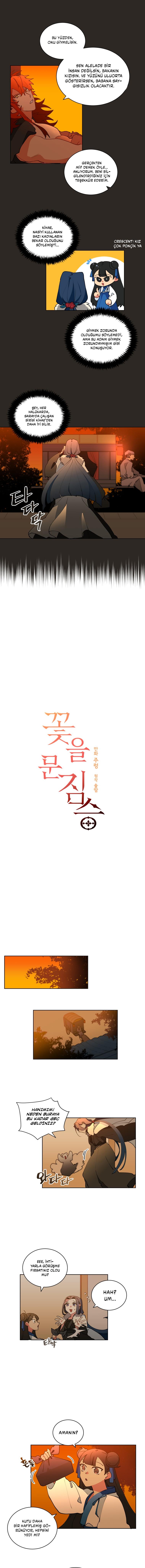 3-cm2xdfr0s0001tt82570od8ls