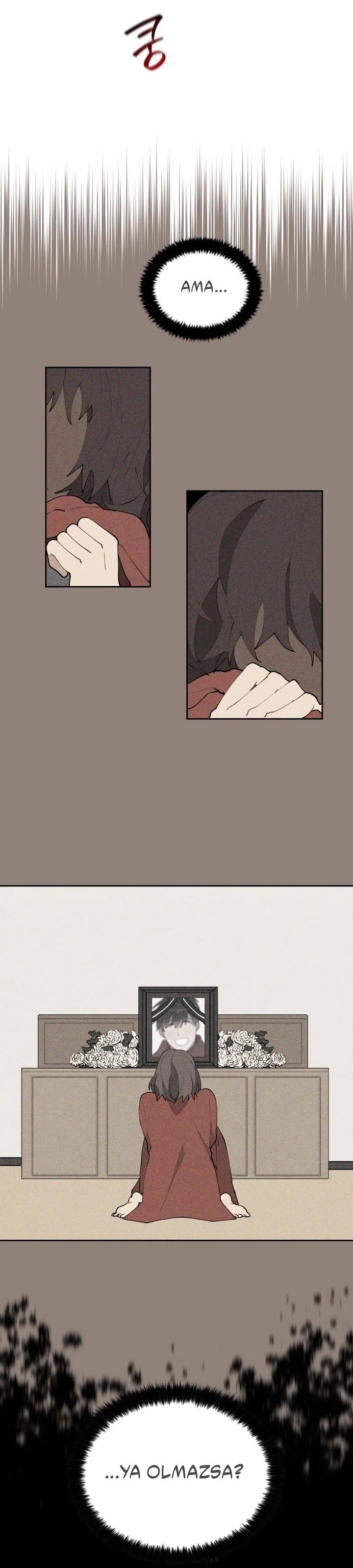22-cm2xdfr0s0001tt82570od8ls