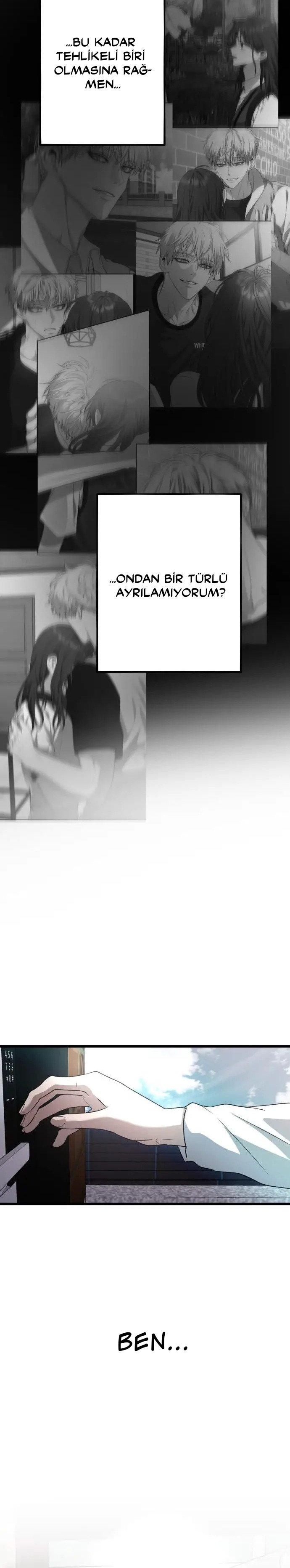 25-cm2xdfr0s0001tt82570od8ls