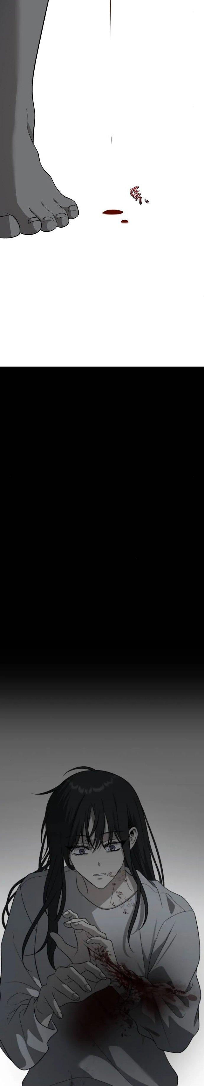 36-cm2xdfr0s0001tt82570od8ls
