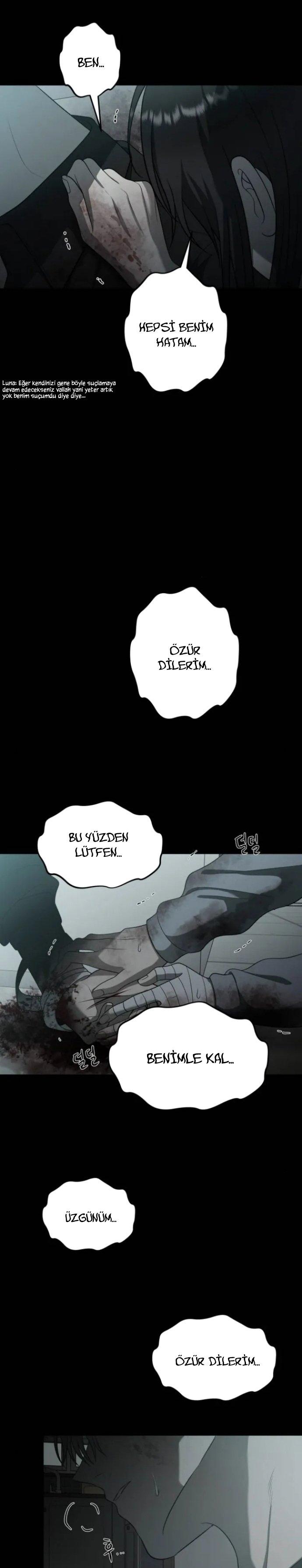 24-cm2xdfr0s0001tt82570od8ls