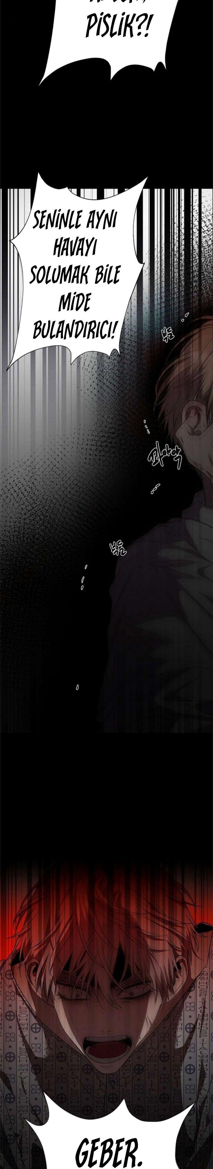 42-cm2xdfr0s0001tt82570od8ls