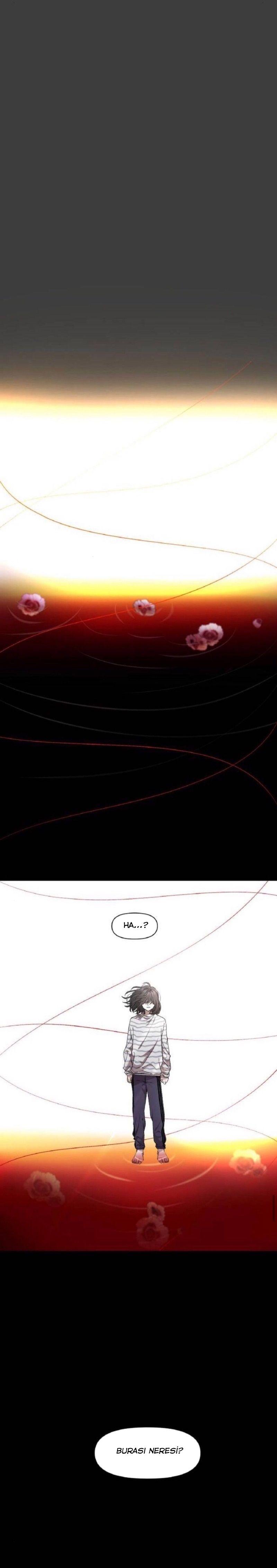 10-cm2xdfr0s0001tt82570od8ls