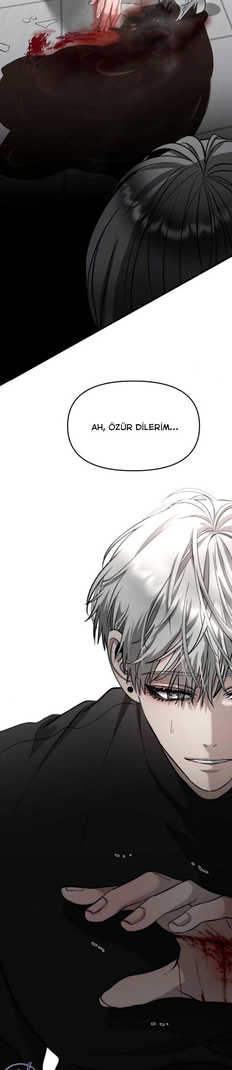 4-cm2xdfr0s0001tt82570od8ls