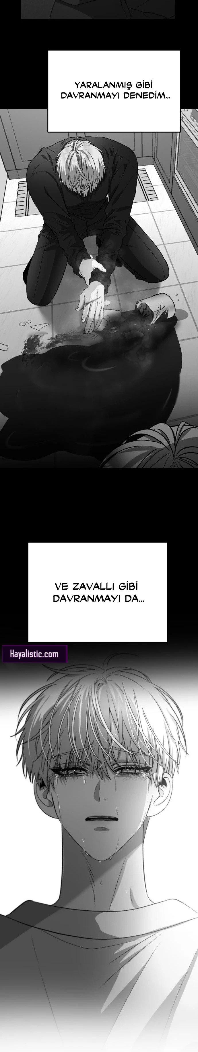 24-cm2xdfr0s0001tt82570od8ls