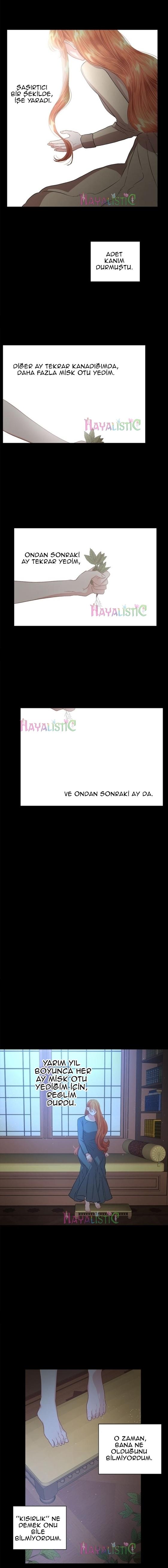 12-cmc1vvo430025phxcd4xhnki2