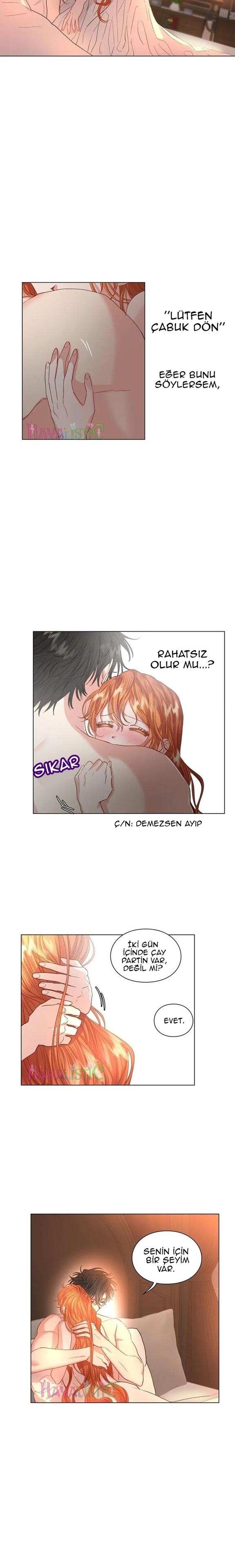 5-cmc1vvo430025phxcd4xhnki2