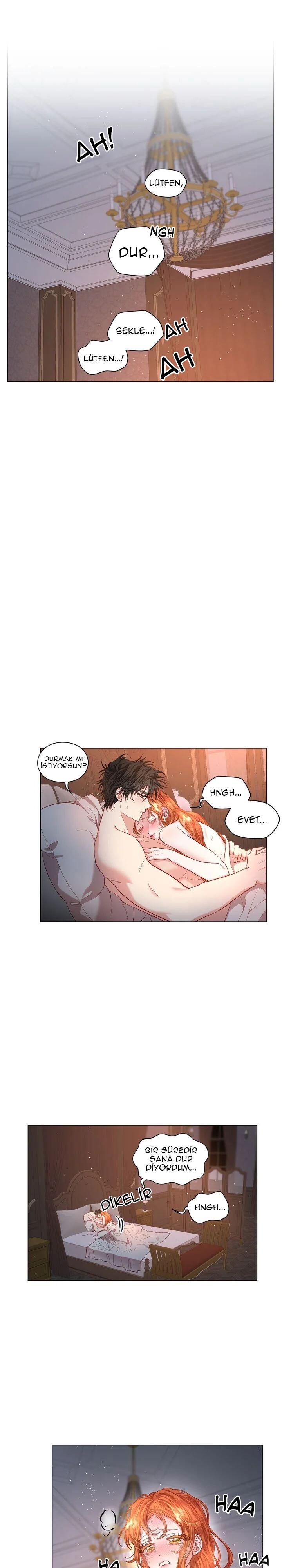 3-cmc1vvo430025phxcd4xhnki2
