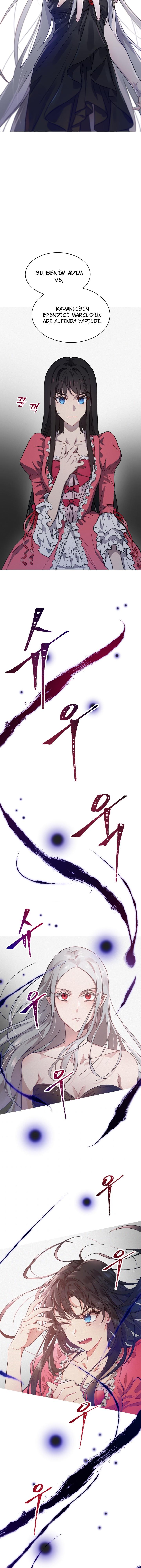 12-cm2xdfr0s0001tt82570od8ls