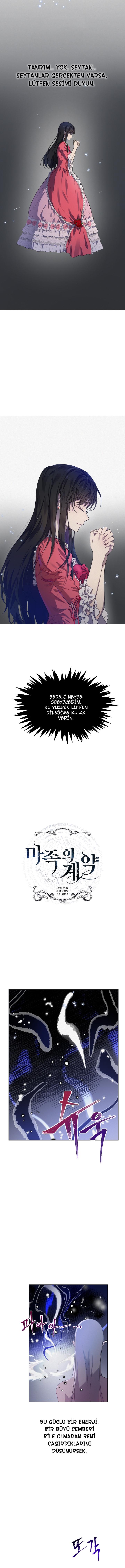 4-cm2xdfr0s0001tt82570od8ls