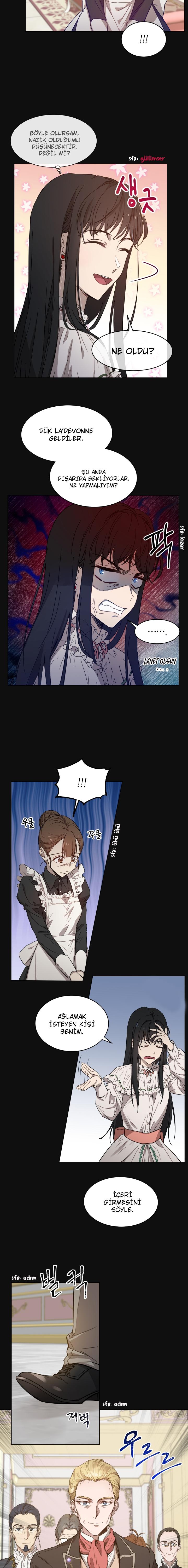 4-cm2xdfr0s0001tt82570od8ls
