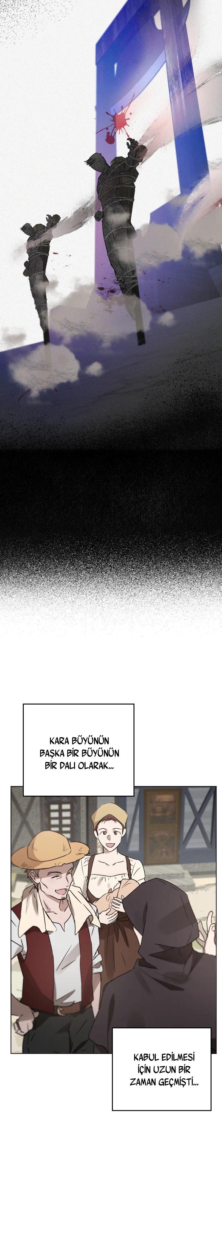 4-cm2xdfr0s0001tt82570od8ls