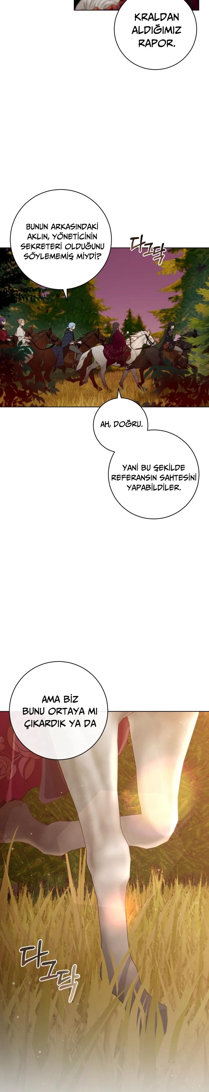 3-cm2xdfr0s0001tt82570od8ls
