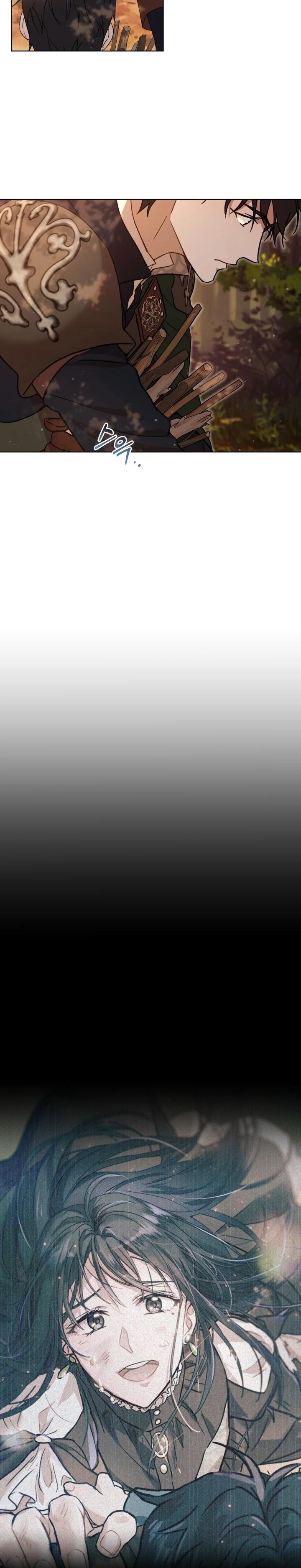 22-cm2xdfr0s0001tt82570od8ls