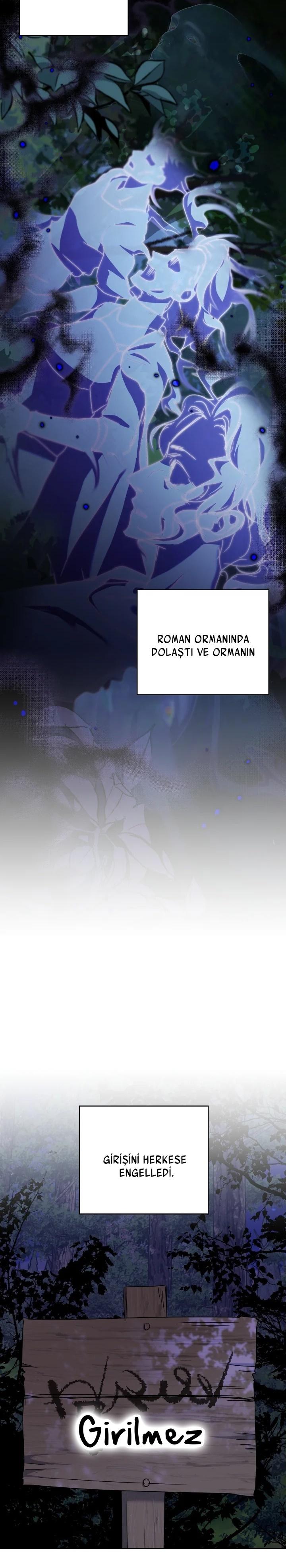 22-cm2xdfr0s0001tt82570od8ls
