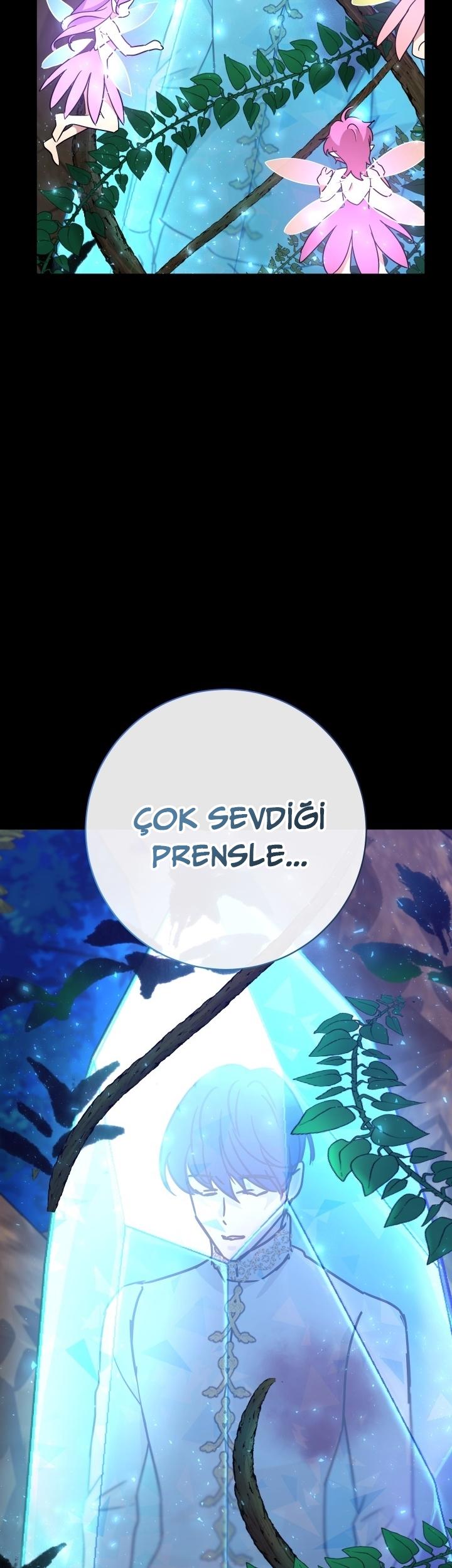 11-cm2xdfr0s0001tt82570od8ls