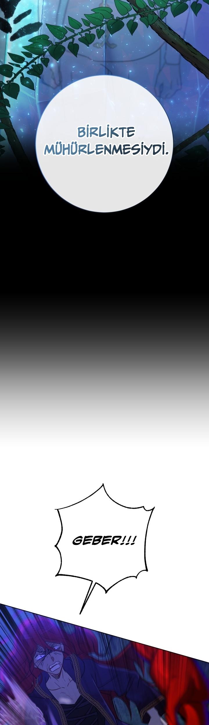 12-cm2xdfr0s0001tt82570od8ls
