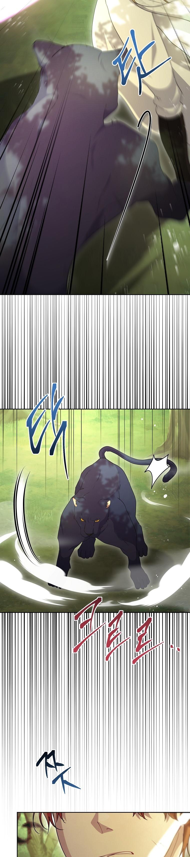 31-cmc1vvo430025phxcd4xhnki2
