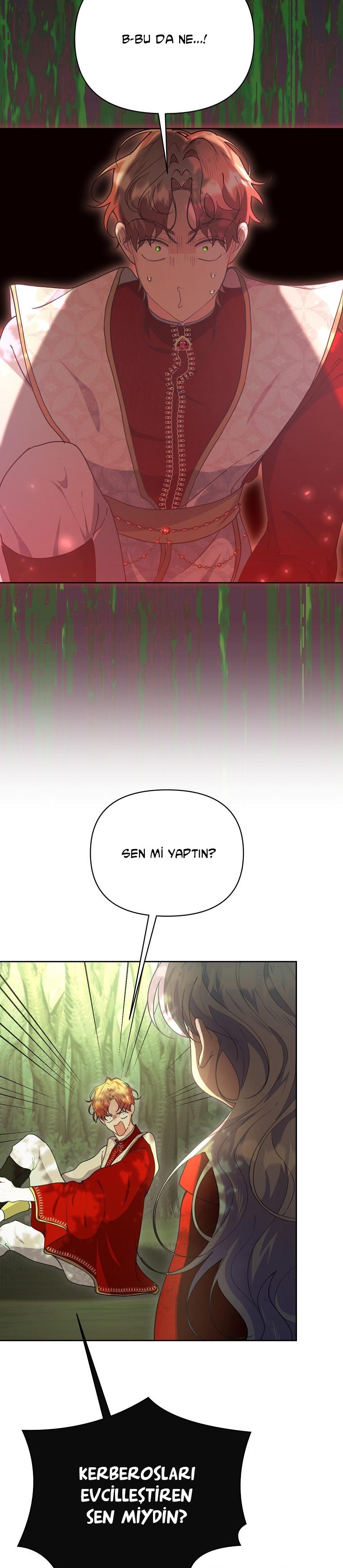 19-cmc1vvo430025phxcd4xhnki2