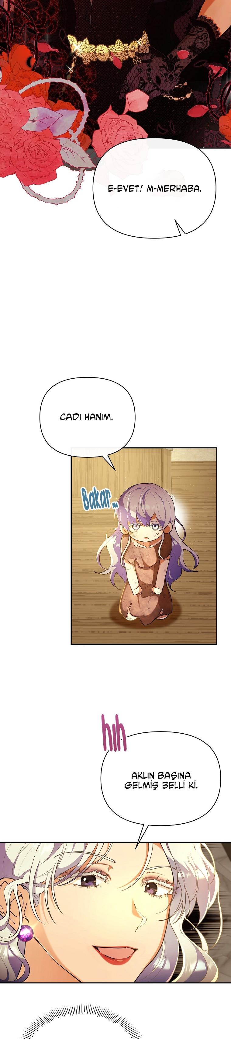 7-cmc1vvo430025phxcd4xhnki2