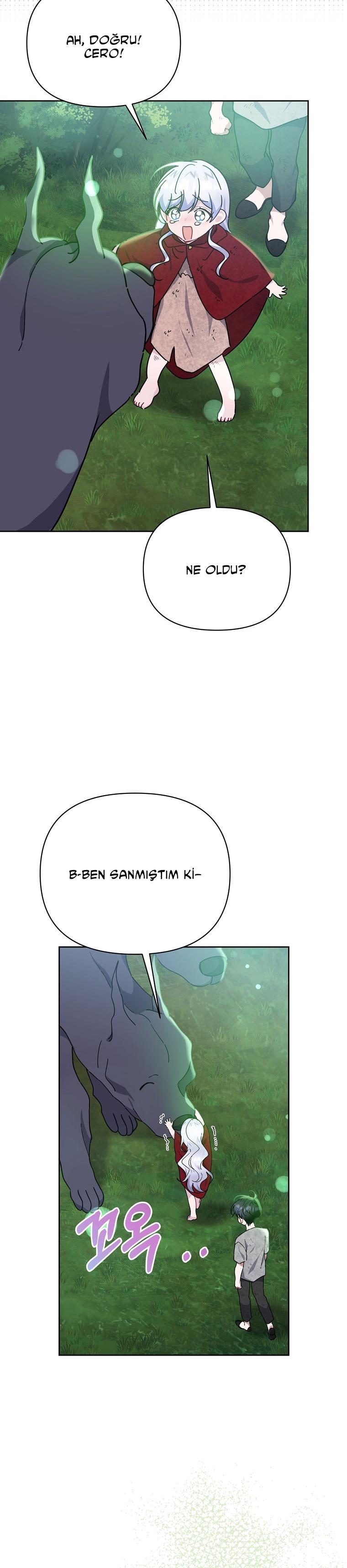 19-cmc1vvo430025phxcd4xhnki2