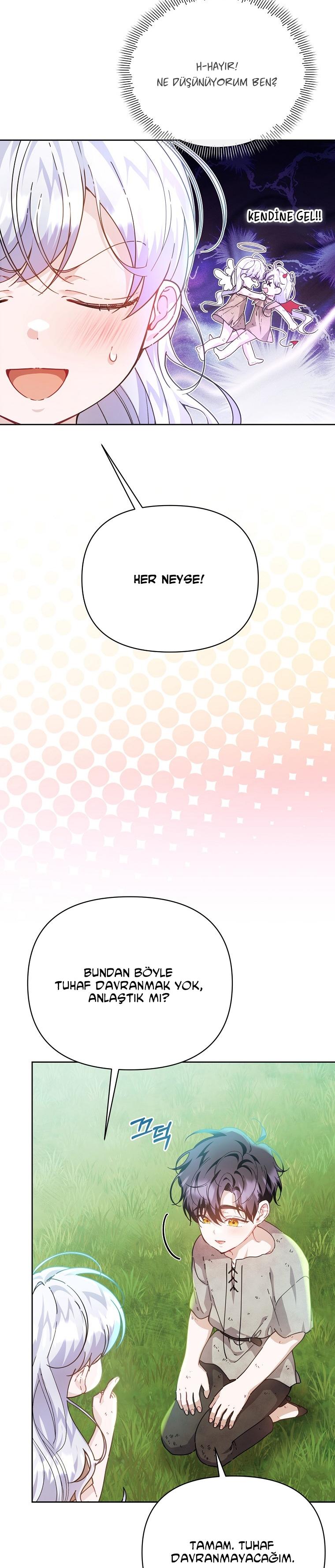 3-cmc1vvo430025phxcd4xhnki2