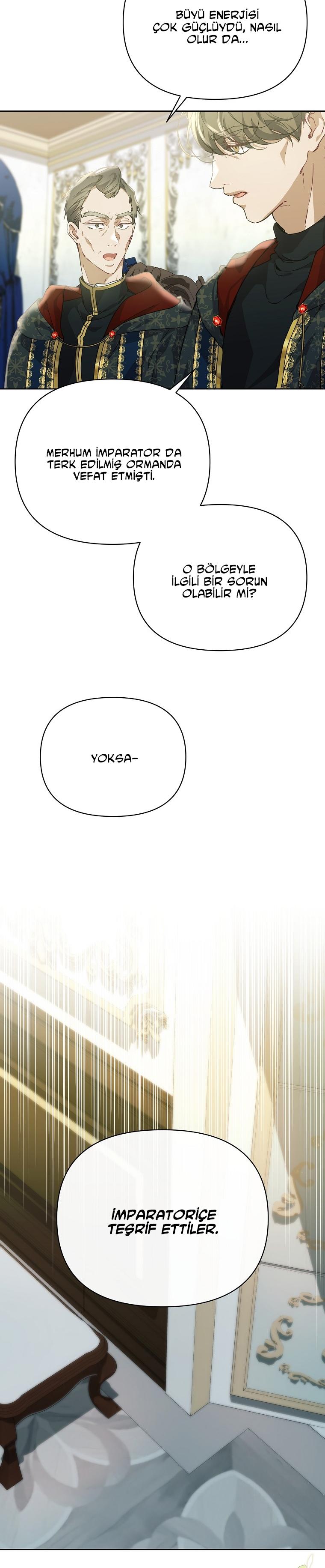 11-cmc1vvo430025phxcd4xhnki2