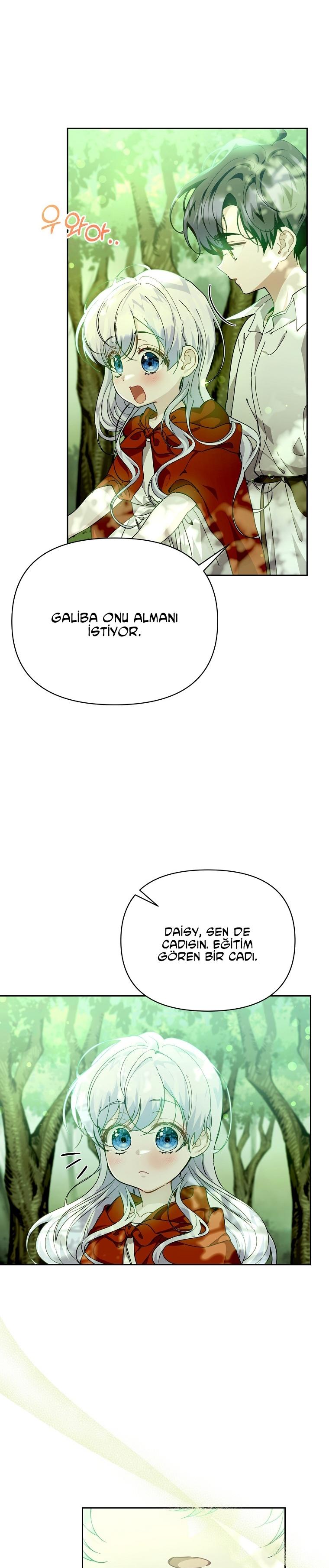 2-cmc1vvo430025phxcd4xhnki2