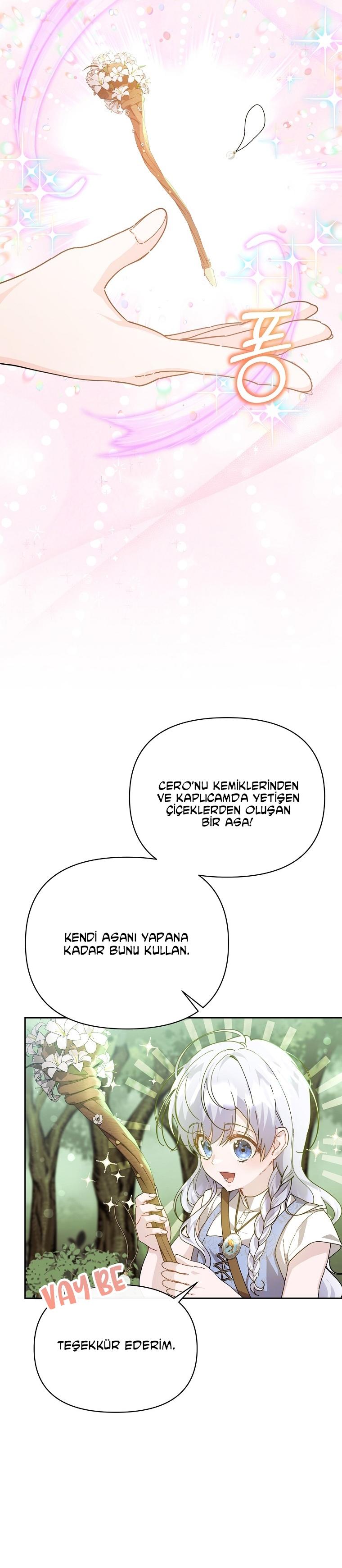 16-cmc1vvo430025phxcd4xhnki2