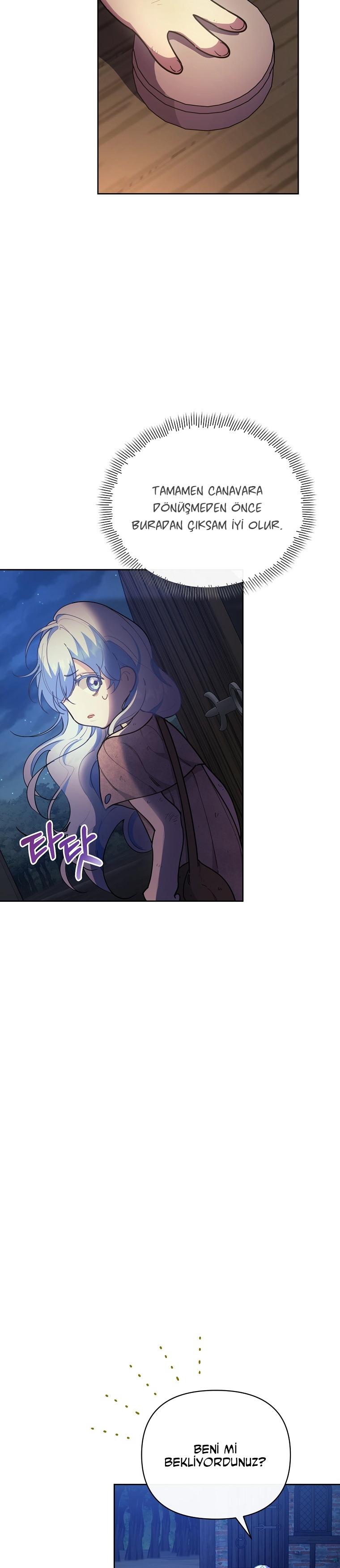 31-cmc1vvo430025phxcd4xhnki2
