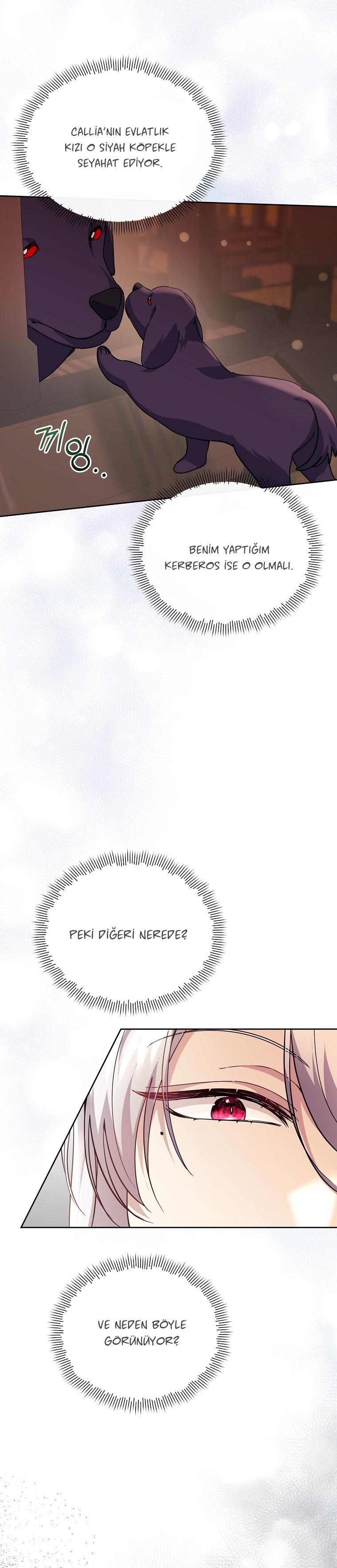 20-cmc1vvo430025phxcd4xhnki2