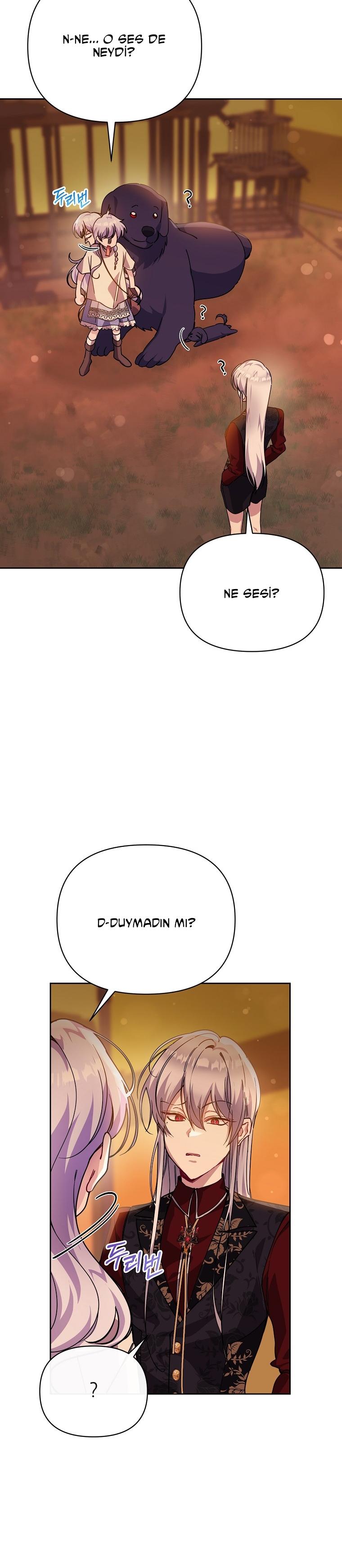 11-cmc1vvo430025phxcd4xhnki2