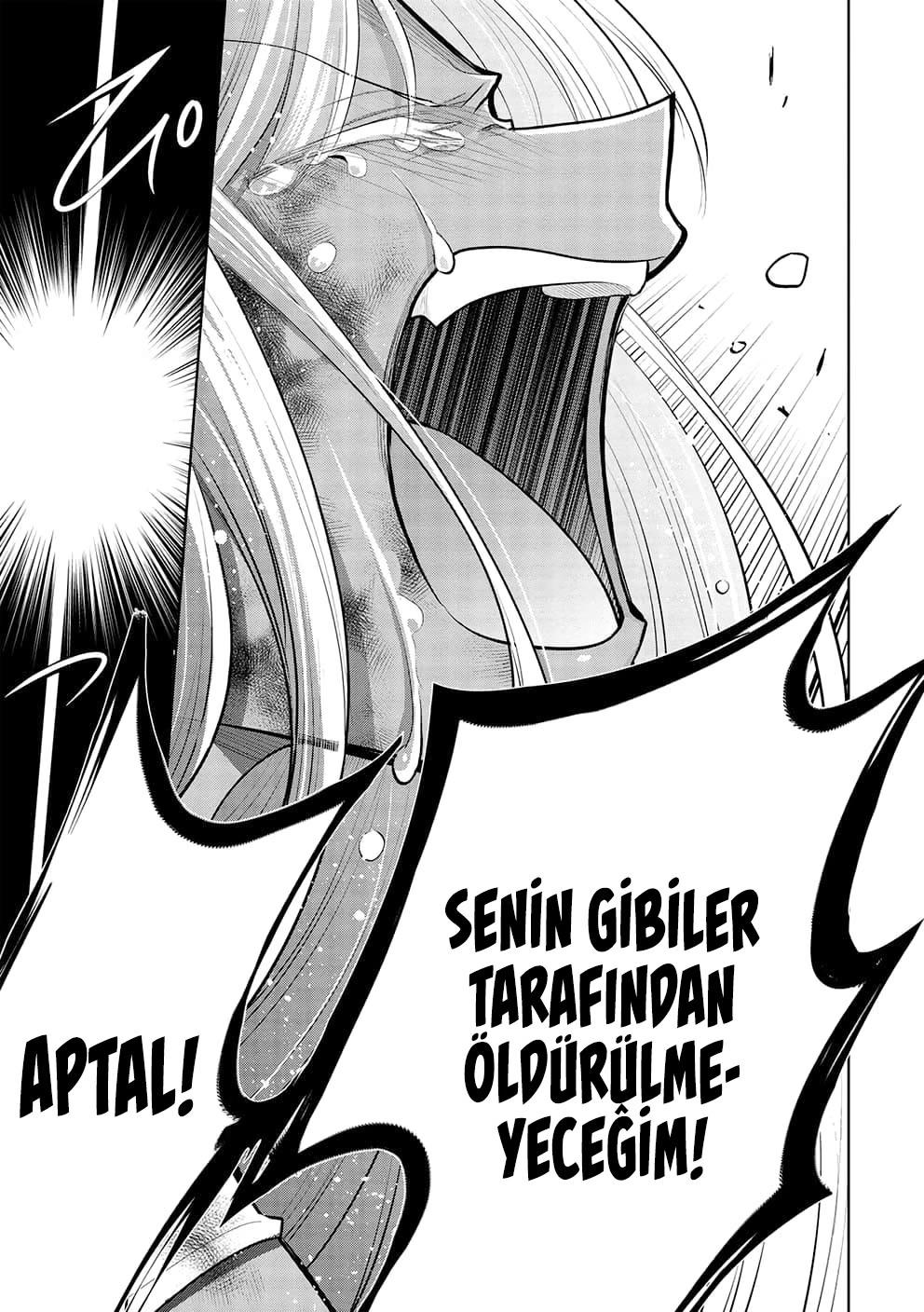 33-cm2rk5cgq0000q6obnukp4wev