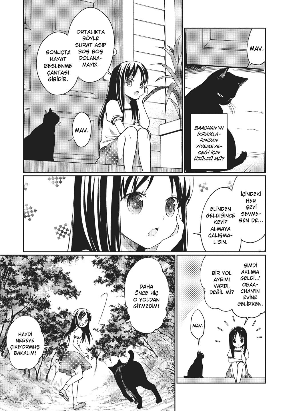20-cm2yqj4xt0000p2ih0ibw6n7a